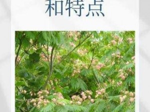 亚洲一区二区三区含羞草,亚洲一区二区三区含羞草的特点是什么？