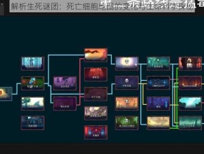 解析生死谜团：死亡细胞地图的变化与生命科学探秘