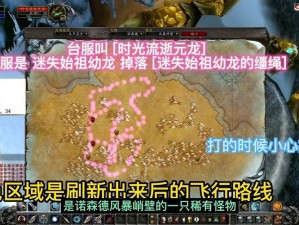 魔兽世界载风迅疾幼龙青铜之鳞获取攻略：详细解析青铜之鳞的获取途径与条件