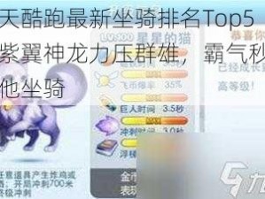 天天酷跑最新坐骑排名Top5：紫翼神龙力压群雄，霸气秒杀其他坐骑