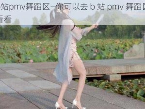 b站pmv舞蹈区—你可以去 b 站 pmv 舞蹈区看看