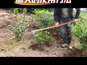 锄地技巧指南：以正确姿势深耕大地的新视角解析