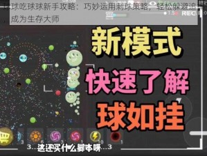 球球吃球球新手攻略：巧妙运用刺球策略，轻松躲避追捕，成为生存大师