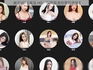 麻豆HD【麻豆 HD：探寻高清世界的奥秘】