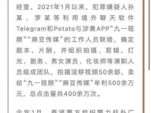 蔴豆传禖官方;麻豆传媒APP 涉黄案宣判，传播淫秽物品牟利获刑