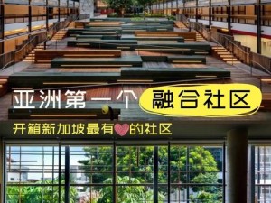 亚洲社区,亚洲社区如何促进多元文化交流？