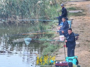 小潭垂钓乐趣体验与独特魅力简介：探索垂钓魅力，尽享自然野趣