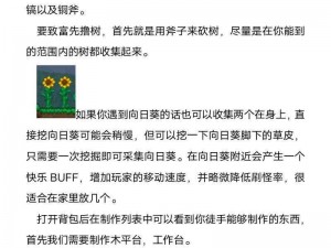 泰拉瑞亚超级速度揭秘：如何解锁超凡移动能力，极速冒险开启指南