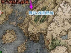 艾尔登法环首个骑士挑战攻略：策略与技巧全面解析