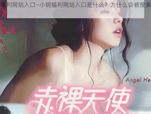 小明福利网站入口—小明福利网站入口是什么？为什么会被搜索引擎屏蔽？