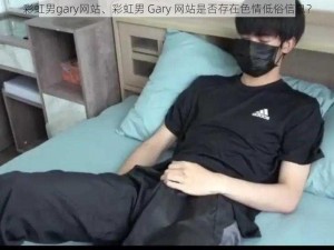 彩虹男gary网站、彩虹男 Gary 网站是否存在色情低俗信息？