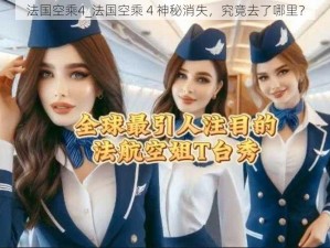 法国空乘4_法国空乘 4 神秘消失，究竟去了哪里？