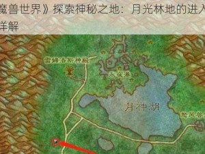 《魔兽世界》探索神秘之地：月光林地的进入方法详解