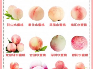 水蜜桃网址 水蜜桃网址是什么？