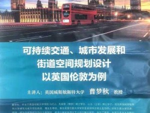 Gridlock现象下的城市交通困境与挑战探索之路