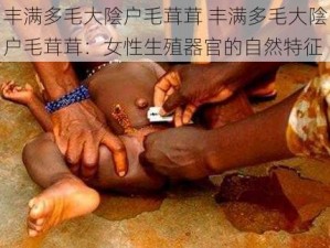 丰满多毛大陰户毛茸茸 丰满多毛大陰户毛茸茸：女性生殖器官的自然特征