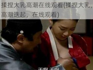 揉捏大乳高潮在线观看(揉捏大乳，高潮迭起，在线观看)