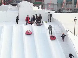 雪地中的舞者——雪居之地雪乐犬的过渡能力探索