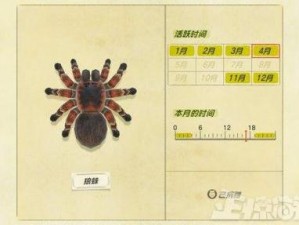 动物森友会：狼蛛神秘出现时刻大揭秘探访精彩生态纪实