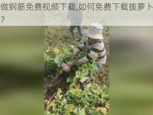 拨萝卜做钢筋免费视频下载,如何免费下载拨萝卜做钢筋的视频？