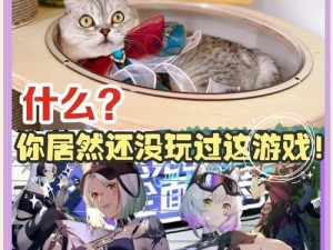 猫之城游戏PC端游玩攻略及体验指南：探索虚拟世界的新征程