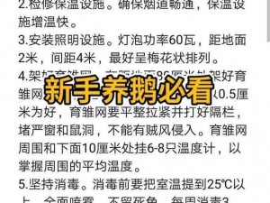 家庭高效养鹅秘诀：掌握五大要点实现健康成长繁育监控全攻略