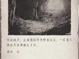 荒野日记石片：揭秘古老文明的隐秘印记与生存智慧的探索之旅