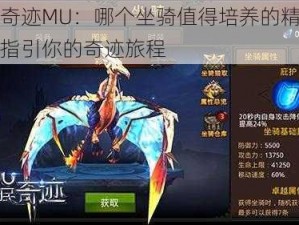 全民奇迹MU：哪个坐骑值得培养的精选推荐，指引你的奇迹旅程