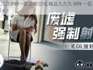 精品久久久999一区占用空间,精品久久久 999 一区占用空间有多大？