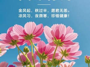 每日晨间激励启动：自动生成日期的早安图软件全新亮相