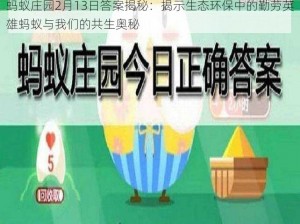 蚂蚁庄园2月13日答案揭秘：揭示生态环保中的勤劳英雄蚂蚁与我们的共生奥秘