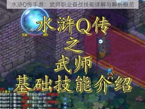 水浒Q传手游：武师职业奋战技能详解与解析概览