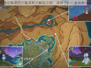 原神通往黯道的三重草种子解密之旅：草种子的位置探索与揭示