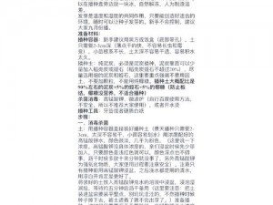 老农种树种子速刷攻略：高效种植技巧与秘诀分享