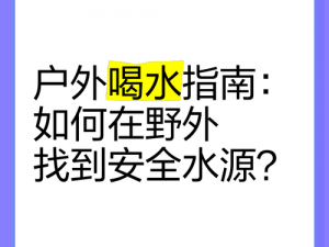 探索游戏森林：如何安全有效地获取水源并饮水