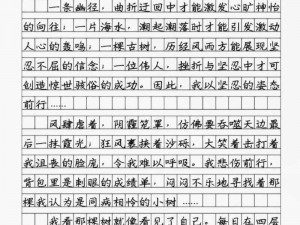 女神之路的追求者：坚韧前行，勇攀高峰，终成典范的奋斗历程