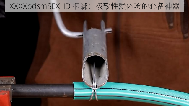 XXXXbdsmSEXHD 捆绑：极致性爱体验的必备神器