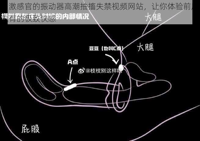 刺激感官的振动器高潮抽搐失禁视频网站，让你体验前所未有的极致快感