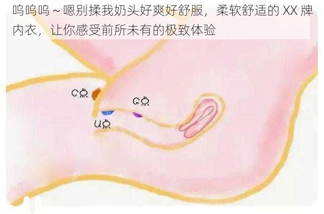 呜呜呜～嗯别揉我奶头好爽好舒服，柔软舒适的 XX 牌内衣，让你感受前所未有的极致体验