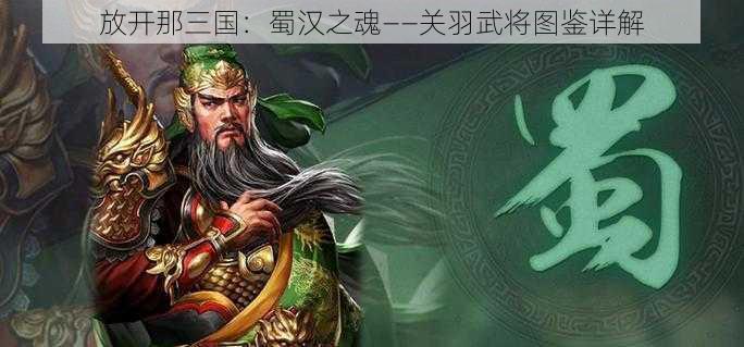 放开那三国：蜀汉之魂——关羽武将图鉴详解