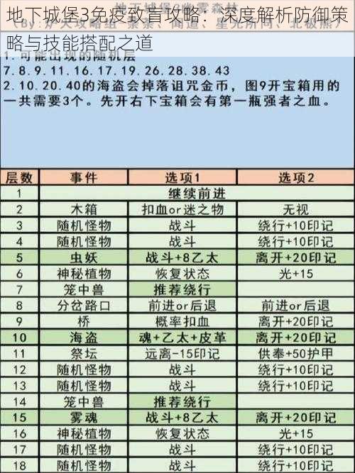 地下城堡3免疫致盲攻略：深度解析防御策略与技能搭配之道