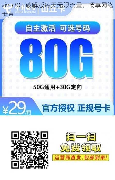 vivo303 破解版每天无限流量，畅享网络世界