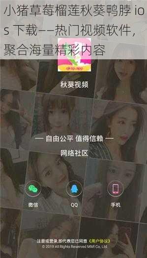 小猪草莓榴莲秋葵鸭脖 ios 下载——热门视频软件，聚合海量精彩内容