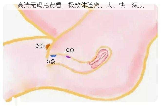 高清无码免费看，极致体验爽、大、快、深点