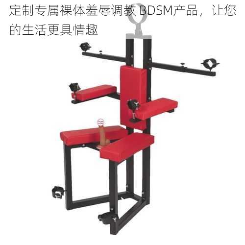 定制专属裸体羞辱调教 BDSM产品，让您的生活更具情趣