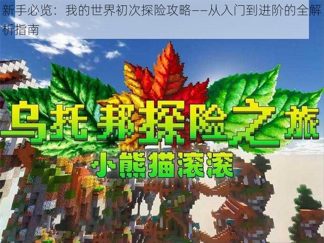 新手必览：我的世界初次探险攻略——从入门到进阶的全解析指南