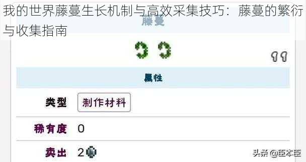 我的世界藤蔓生长机制与高效采集技巧：藤蔓的繁衍与收集指南