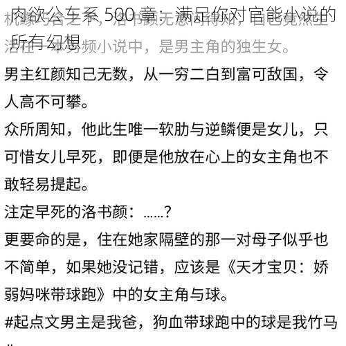 肉欲公车系 500 章：满足你对官能小说的所有幻想