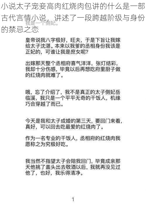 小说太子宠妾高肉红烧肉包讲的什么是一部古代言情小说，讲述了一段跨越阶级与身份的禁忌之恋