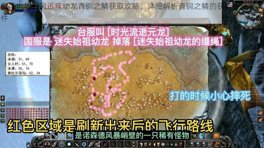 魔兽世界载风迅疾幼龙青铜之鳞获取攻略：详细解析青铜之鳞的获取途径与条件